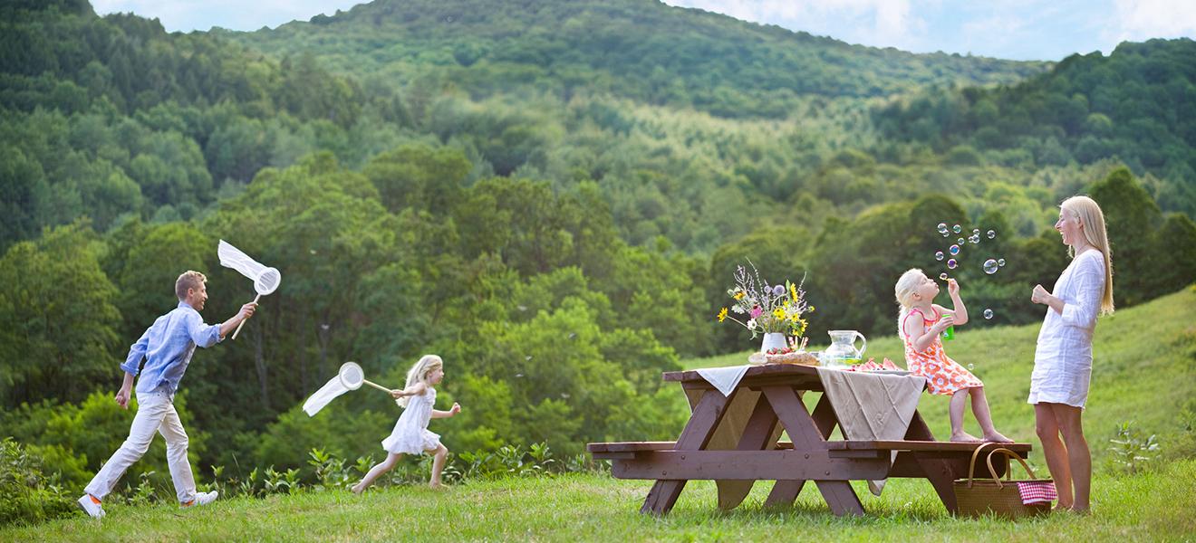 Summer Family Picnic