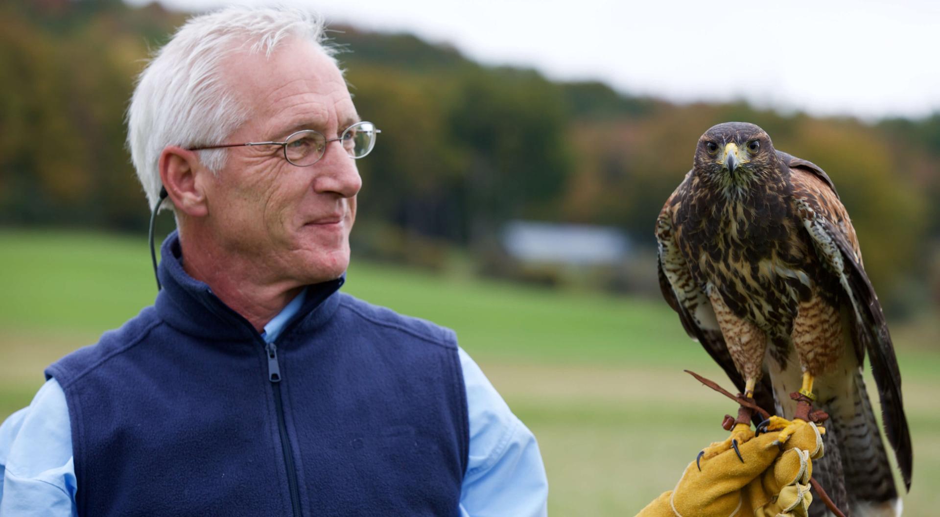 Falconry Experiences