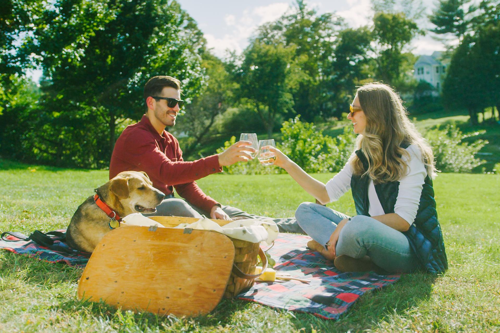 Pet Friendly Hotels & More The Woodstock Inn and Resort