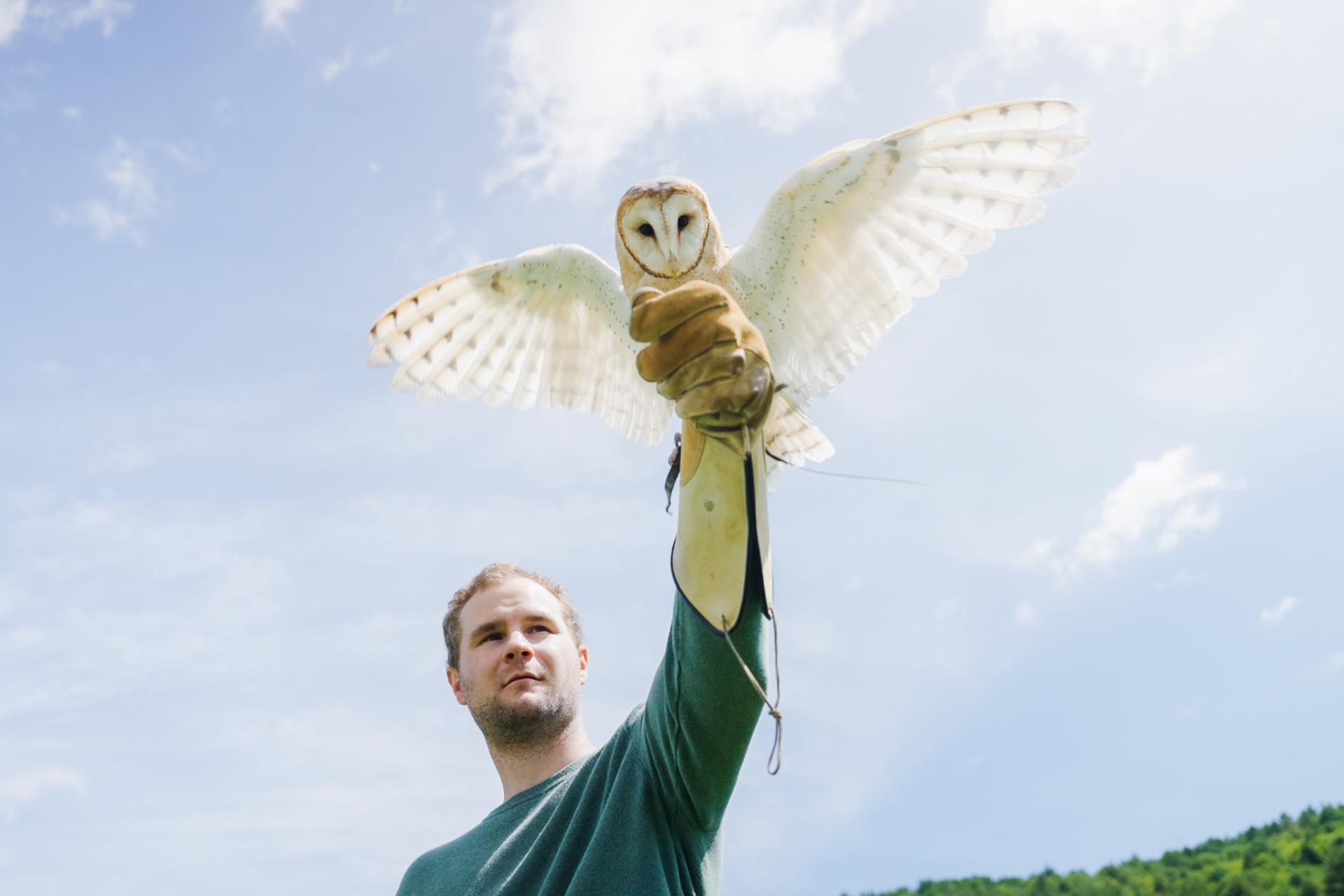 Falconry The Woodstock Inn and Resort